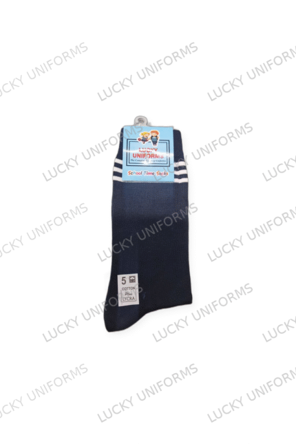 Campion School Socks Regular (6 to 12th)