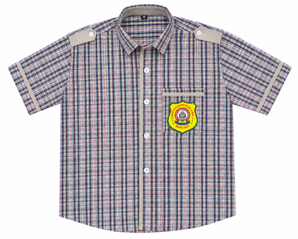 Bharti Vidya Mandir School Multicolor Check Shirt - 1 To 12th