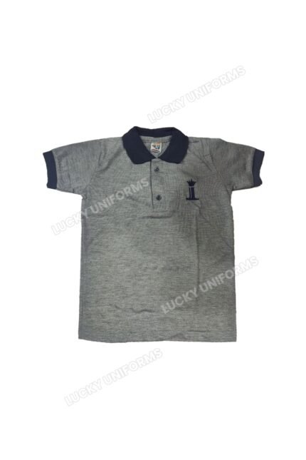 Iconic School Regular T-Shirt 1 to 12th – Grey with Navy Blue Collar