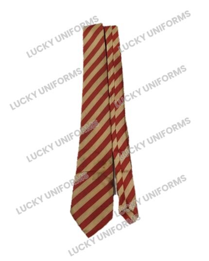 MT Carmel Kolar School Tie