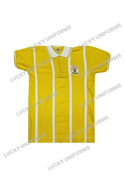 MT Carmel Kolar House T-Shirt - Yellow | Green | Blue | Red – 6th to 12th